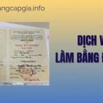 Làm Bằng Đại Học