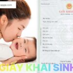 Dịch vụ làm giấy khai sinh giả