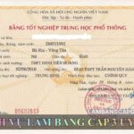 Có bằng cấp 3 thì làm nghề gì