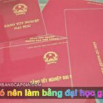 Có nên làm bằng đại học giả