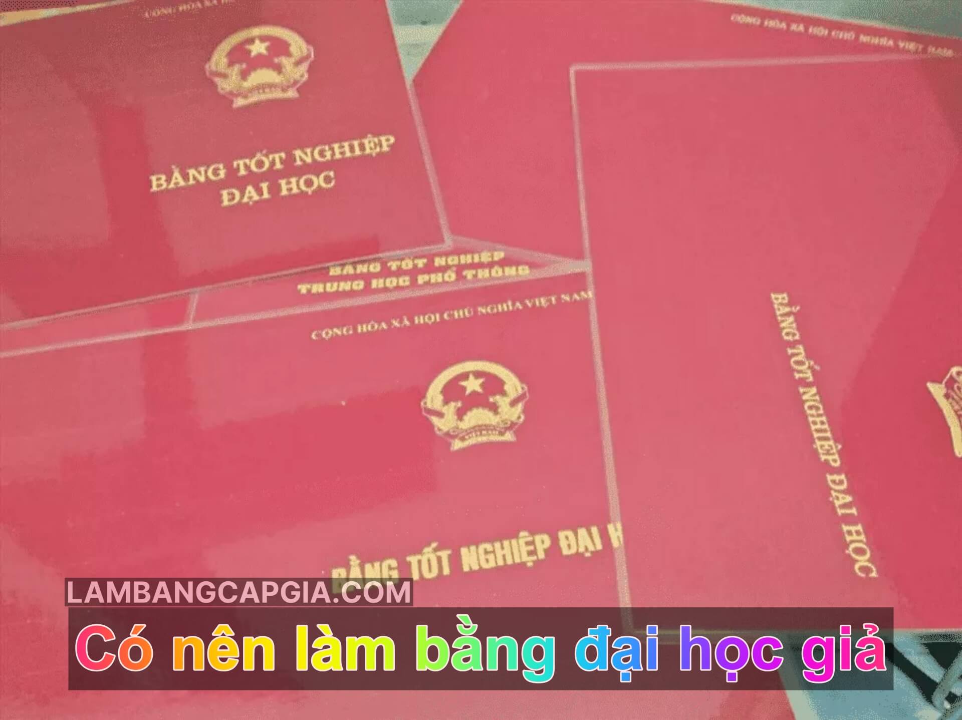 Có nên làm bằng đại học giả