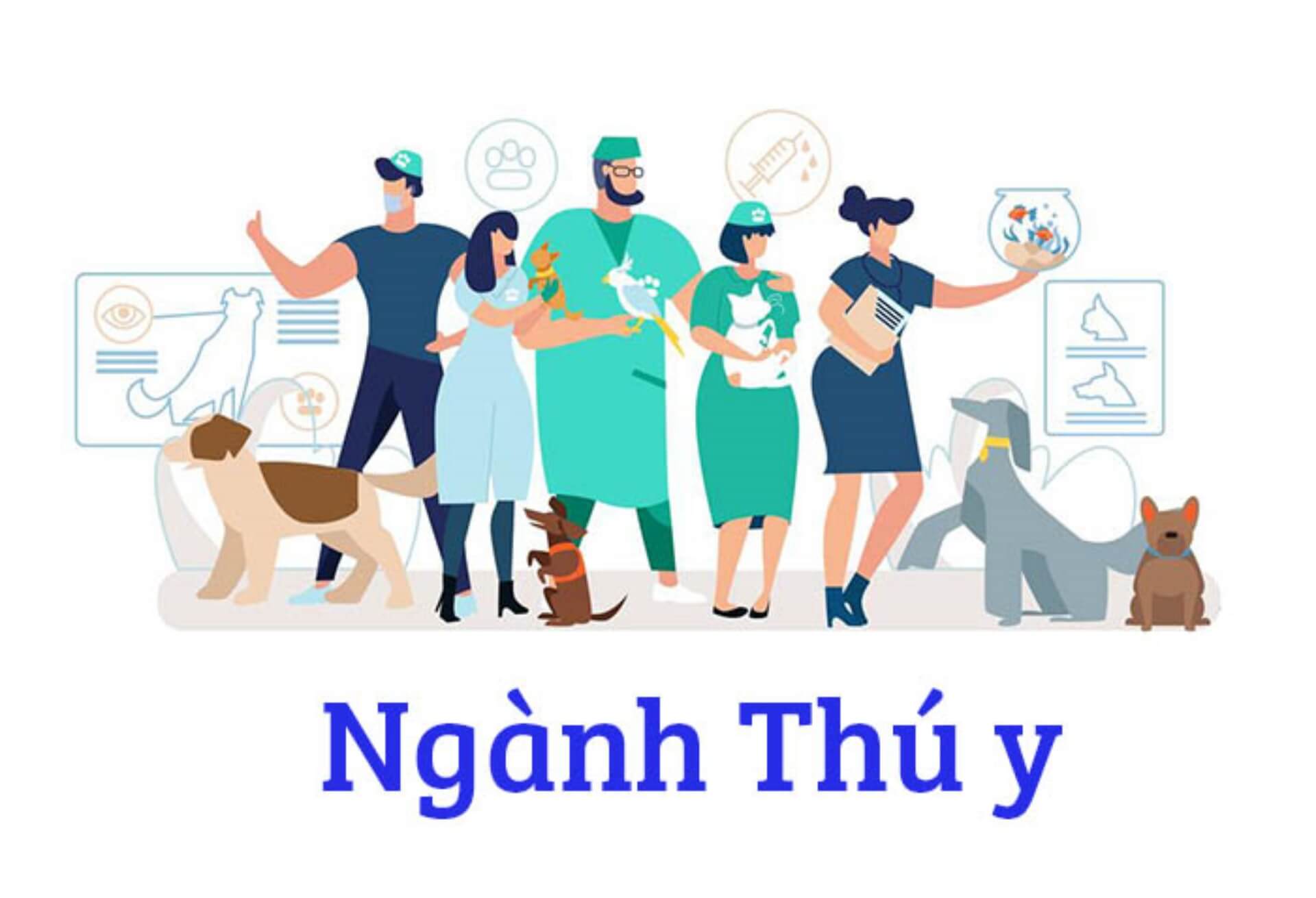 Mua bằng trung cấp thú y giá rẻ - LamBangCapGia ✔️ 3 Làm bằng trung cấp thú y bao nhiêu