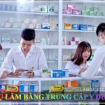 Làm bằng trung cấp y dược giả