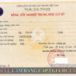 Làm bằng cấp 2