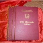 Mất bằng đại học
