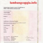 Làm chứng chỉ CAE