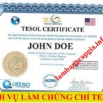 Làm chứng Chỉ TESOL