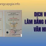 Làm Bằng Đại Học Văn Hiến