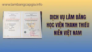 Làm bằng Học viện Thanh thiếu niên Việt Nam