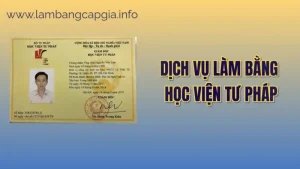 Làm bằng Học viện Tư pháp
